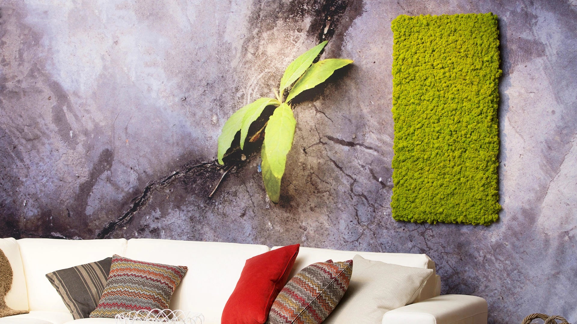 Frameless Moss Wall Panels Decormania Effect after mounting the panel on grey wallpaper